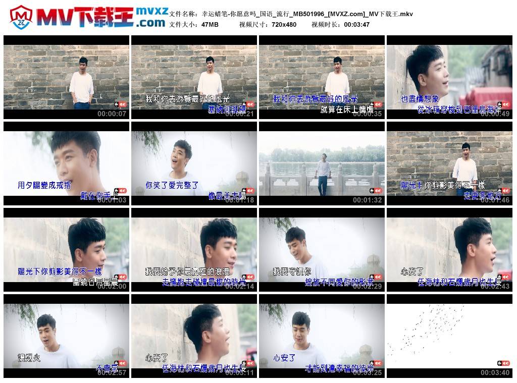 幸运蜡笔-你愿意吗_国语_流行_MB501996